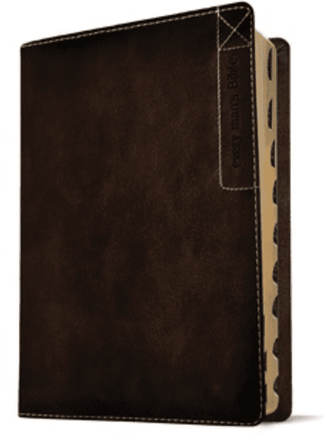 NIV Mans LP Brown IDX