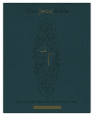 The NIV Jesus Bible Artist Edition, Green Calfskin Leather, Comfort Print