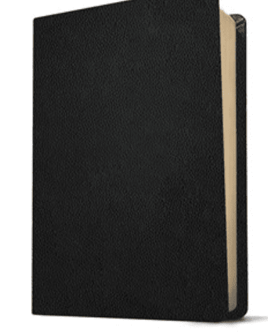 KJV Personal Size Filament Bible, Black, Genuine Leather