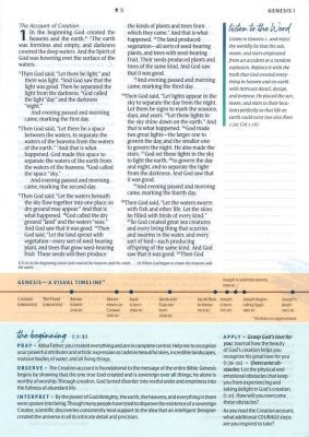 NLT Courage For Life Study Bible, Brushed Aqua Blue