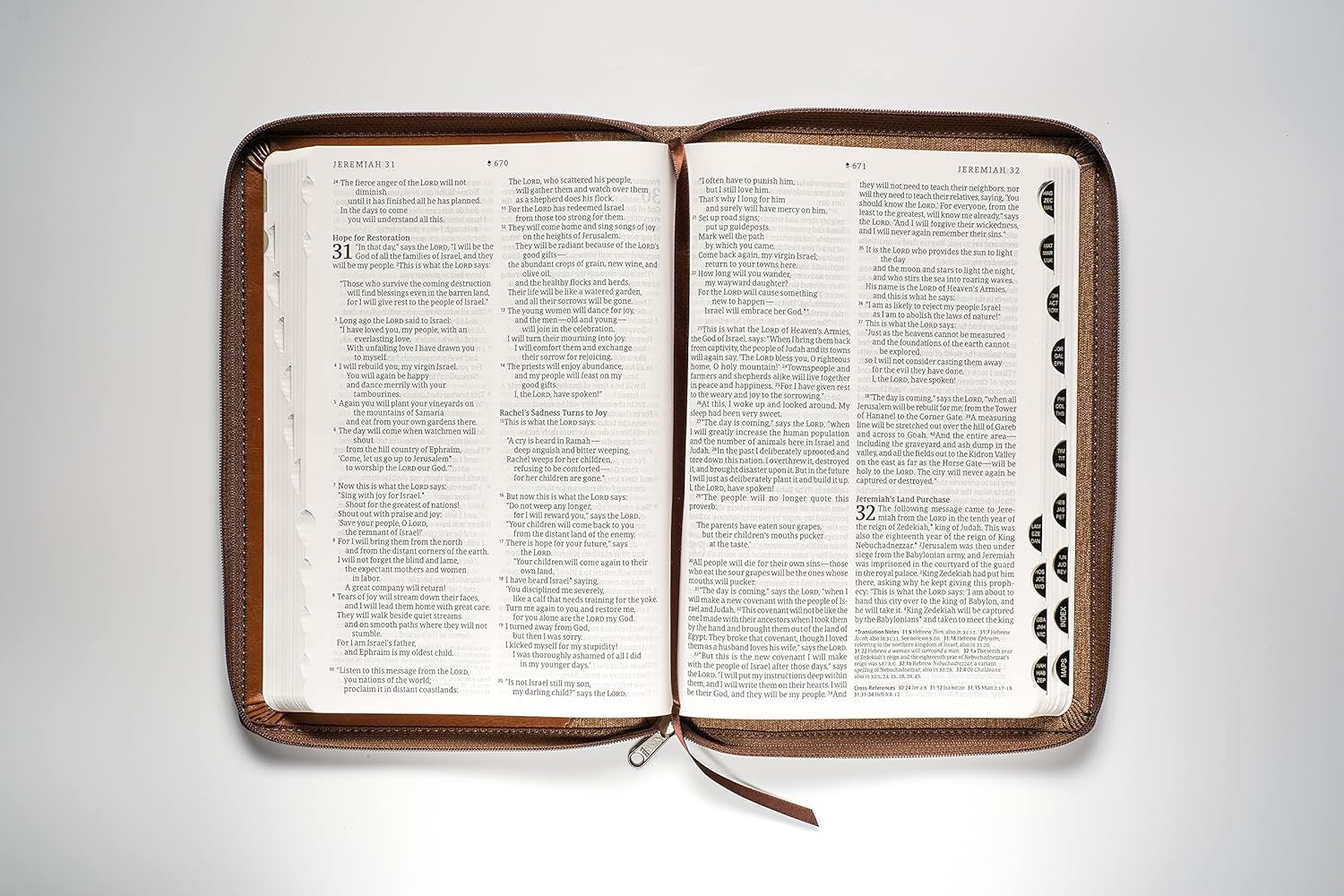 NLT Large Print Filament Thinline Zippered Reference Bible, Indexed, Messenger Stone & Camel Leatherlike