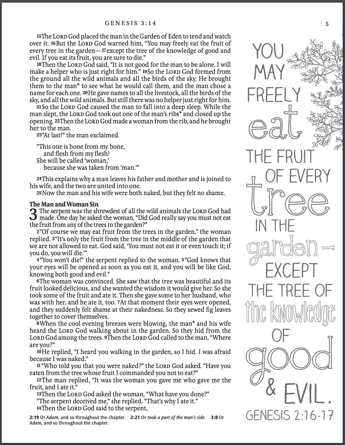 Inspire Bible NLT HC PNK NLT