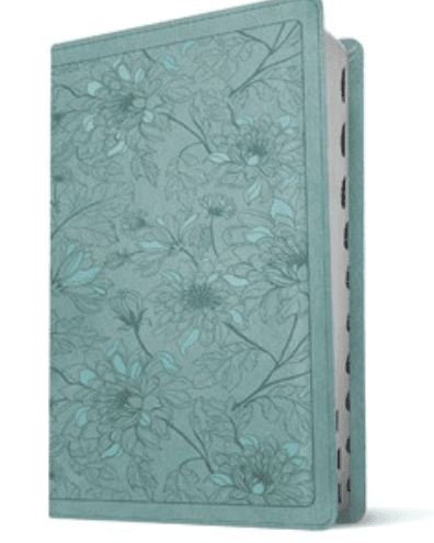 KJV Thin Bible Teal, Indexed