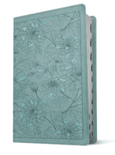 KJV Thin Bible Teal, Indexed