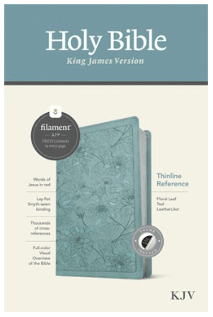 KJV Thin Bible Teal, Indexed