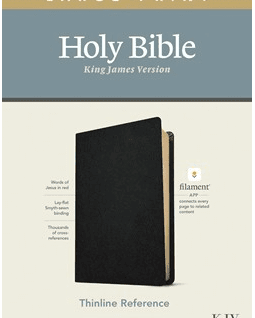 KJV Filament Bible, Thinline, Large Print, Black, Genuine Leather