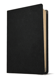 KJV Filament Bible, Thinline, Large Print, Black, Genuine Leather