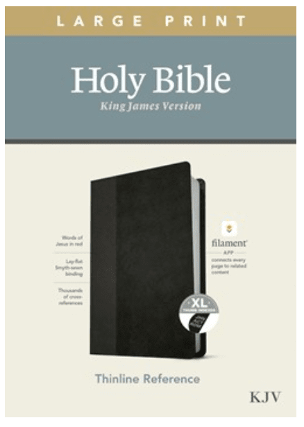 KJV Thinline Bible, Large Print, Black & Onyx
