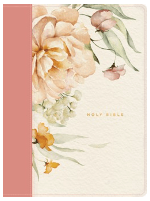 NLT Wide Margin Bible Index