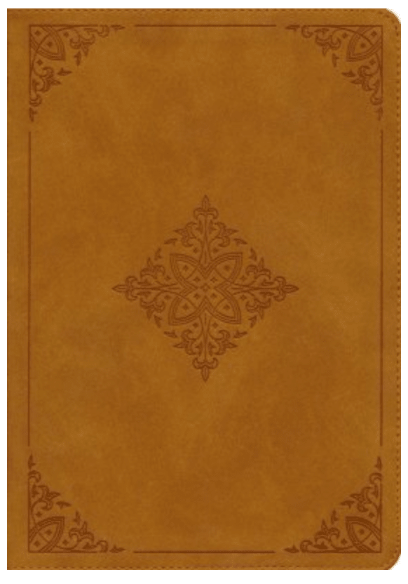 ESV Carmel Large Print