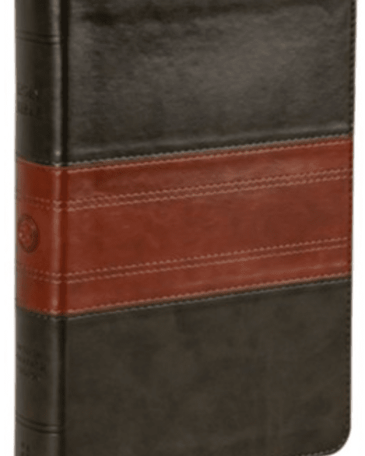 ESV Large Print Two Tone