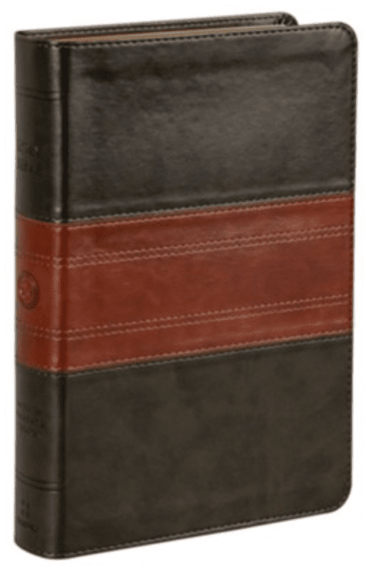 ESV Large Print Two Tone