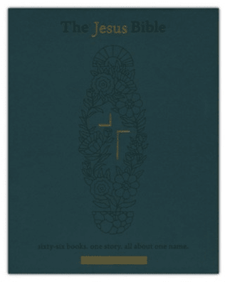 The NIV Jesus Bible Artist Edition, Green Calfskin Leather, Comfort Print