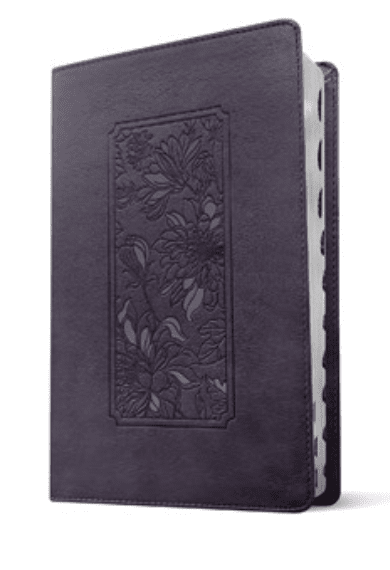 KJV Thin Bible, Purple Indexed