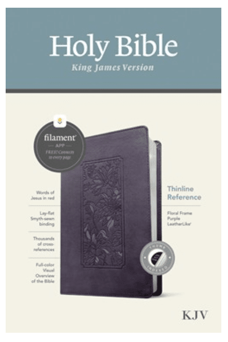 KJV Thin Bible, Purple Indexed