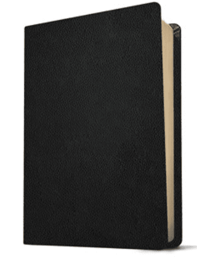 KJV Personal Size Filament Bible, Black, Genuine Leather