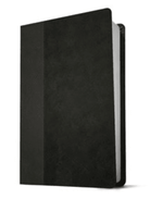 KJV Thinline Bible, Large Print, Black & Onyx