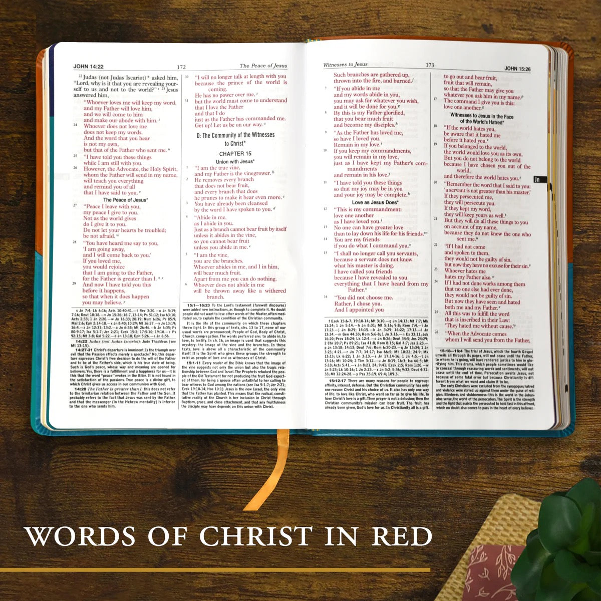 NCB Saint Joseph New Catholic Bible For Youth, Personal Size