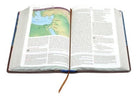 NIV Woman's Study Bible, Large Print, Blue/Brown Leathersoft
