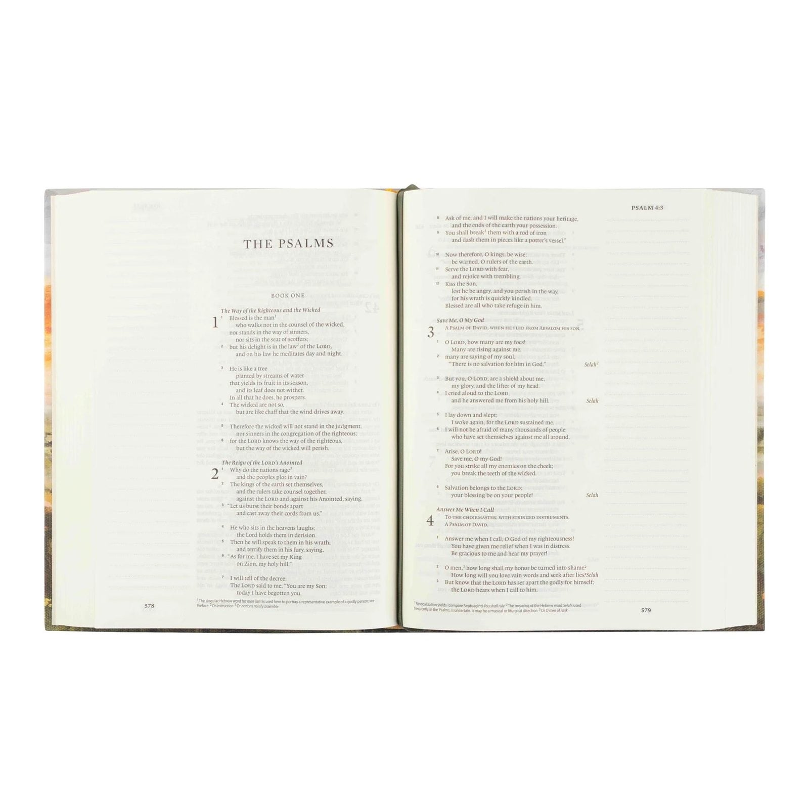 ESV Journaling Bible, Florence Theme