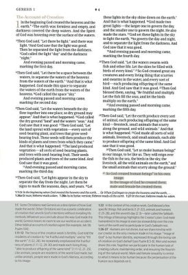 NLT Every Woman's Bible, Indexed, Sky Blue Leatherlike