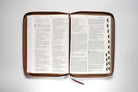 NLT Large Print Filament Thinline Zippered Reference Bible, Indexed, Messenger Stone & Camel Leatherlike