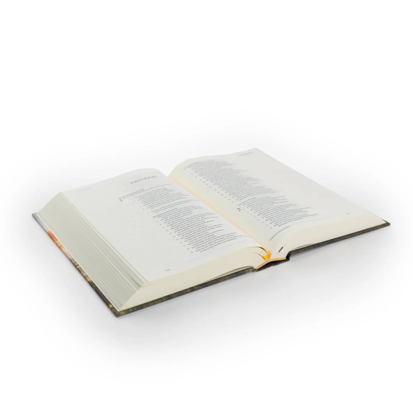 ESV Journaling Bible, Florence Theme