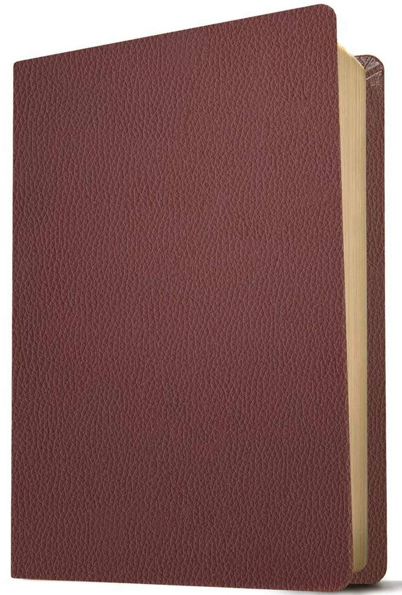 KJV Giant Print Personal Size Bible, Indexed, Black & Onyx Leatherlike