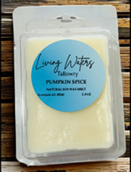 Pumpkin Spice Scented Soy Wax Melt: Long Lasting Holiday Fragrance