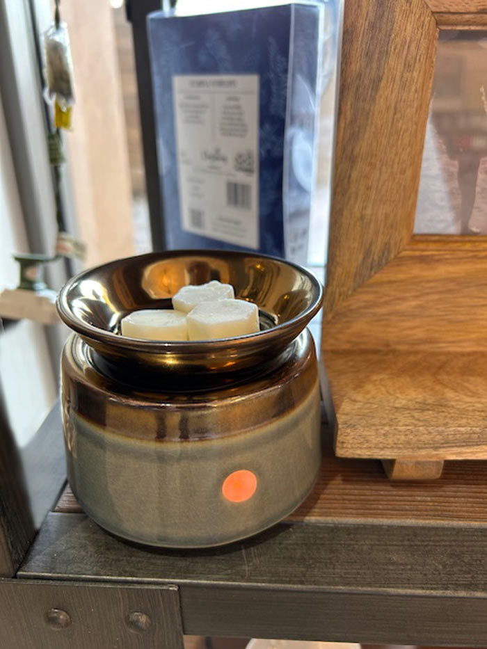 Electric Wax Melt Warmer