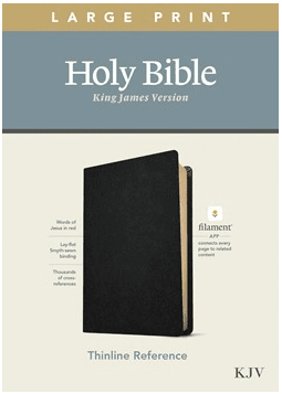 KJV Filament Bible, Thinline, Large Print, Black, Genuine Leather