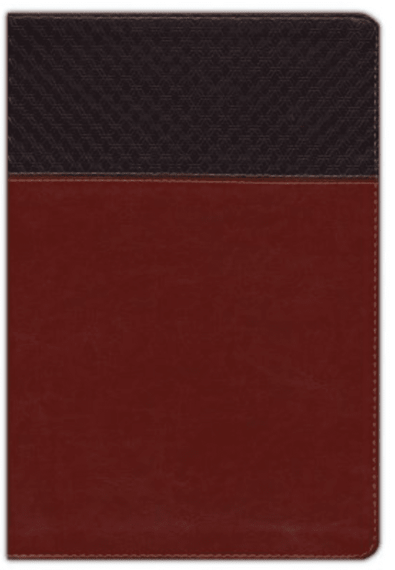 NIV Large Print Study Bible Brown Leather