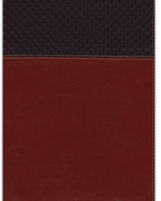 NIV Large Print Study Bible Brown Leather